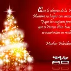 La imagen 1 de la Empresa TARJETAS DE NAVIDAD CHILE Video Saludo Navidad en Santiago RM