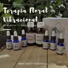 La imagen 1 de la Empresa TAROT Y TERAPIAS Terapia Energética en Santiago RM