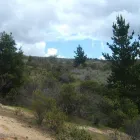 La imagen 2 de la Empresa TERRENOS Y PARCELAS VENTAS PROPIEDADES Y PARCELAS en Rancagua AI