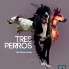 La imagen 1 de la Empresa TRES PERROS PUBLICIDAD & DISEÑO Redacción Creativa en Puerto Varas LL