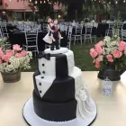La imagen 4 de la Empresa TU BODA A LA MEDIA Organizador de eventos en Providencia RM