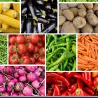 La imagen 2 de la Empresa URBANGARDENS Weed en Independencia RM