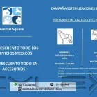 La imagen 1 de la Empresa VETERINARIA ANIMAL SQUARE Veterinario Domicilio Paine en Buin RM