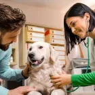 La imagen 1 de la Empresa VETERINARIA PEDRO DE VALDIVIA VETERINARIOS PERROS Y GATOS en Temuco AR