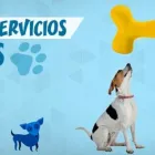 La imagen 1 de la Empresa ZOOCLÍNICA Veterinario en Calera VS
