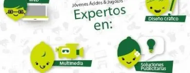 La imagen 10 de la Empresa AGENCIA DE PUBLICIDAD LIMÓN CON SAL Volantes en Santiago RM