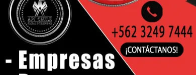 La imagen 5 de la Empresa API CHILE GLOBAL INTELLIGENCE Servicios de Consultoria en Santiago RM