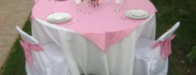 La imagen 5 de la Empresa ARRIENDOS CHENA SAN BERNARDO Arriendo de Vajilla en Santiago RM