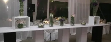 La imagen 21 de la Empresa BANQUETERIA Y EVENTOS TU PLACER CULPABLE Eventos en Santiago RM