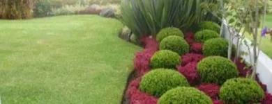 La imagen 1 de la Empresa BELLATERRA CHILE Servicios Agrícolas en Puente Alto RM