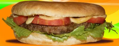 La imagen 1 de la Empresa BITTE BROT Turismo Y Hotelería en Osorno LL