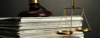 La imagen 1 de la Empresa BUENA PRAXIS Abogado tributario en Providencia RM