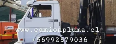 La imagen 8 de la Empresa CAMION PLUMA Traslados en Santiago RM