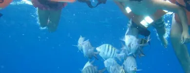 La imagen 1 de la Empresa CAMPING JM Recinto para eventos en Padre Hurtado RM