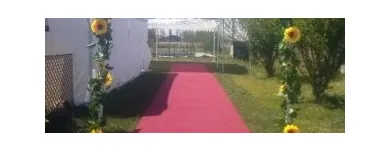 La imagen 7 de la Empresa CENTRO DE EVENTOS LO MIRANDA Vajilla en Santiago RM