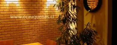 La imagen 10 de la Empresa CERÁMICAS RÚSTICAS CAUQUENES Transportes en Santiago RM