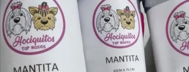 La imagen 6 de la Empresa COMODIDAD ADULTO MAYOR Toallas Húmedas en Quinta Normal RM