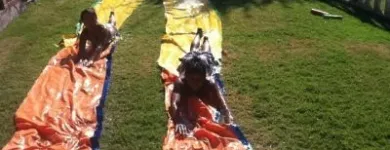 La imagen 4 de la Empresa CUMPLEAÑOS ENTRETENCIONESKIDS Profesores de Educación Física en Santiago RM