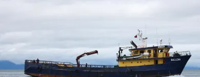 La imagen 4 de la Empresa DETROIT S.A. Tienda de repuestos para automóviles en Puerto Montt LL