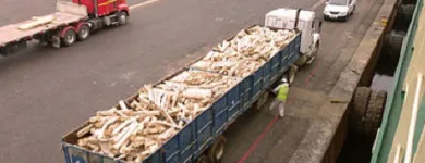 La imagen 2 de la Empresa ECOESAN TRATAMIENTO DE MATERIALES CON ASBESTO en Viña del Mar VS