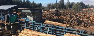 La imagen 3 de la Empresa ECOPAR VENTAS DE PALLETS en Los Angeles BI