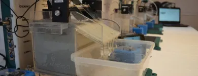 La imagen 8 de la Empresa EDEMET scavenger en Concepción BI