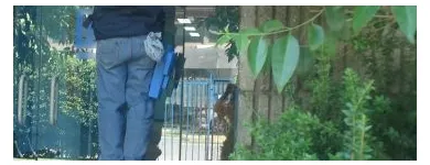 La imagen 3 de la Empresa EMPRESA DE ASEO DYC Servicio de Pintura en Santiago RM