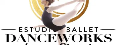 La imagen 9 de la Empresa ESTUDIO BALLET DANCE WORKS PRE BALLET en Providencia RM