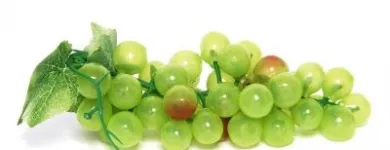 La imagen 5 de la Empresa ESTUDIO FOTOGRAFICO FGR Turismo en Santiago RM