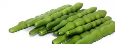 La imagen 10 de la Empresa ESTUDIO FOTOGRAFICO FGR Turismo en Santiago RM