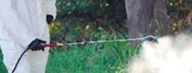 La imagen 3 de la Empresa FUMIZENTER LTDA. Servicio de control de plagas en Iquique TA