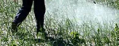 La imagen 4 de la Empresa FUMIZENTER LTDA. Servicio de control de plagas en Iquique TA