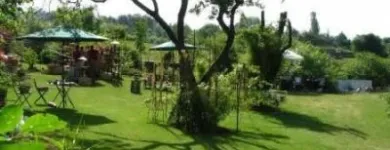 La imagen 6 de la Empresa GREENPLAGAS. EXPERTOS EN CONTROL  DE PLAGAS. Ratones en Santiago RM