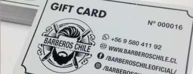 La imagen 3 de la Empresa IMPRENTA EXPRESS 1177 Trípticos en Valparaíso VS