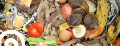 La imagen 1 de la Empresa LOMBRICES CALIFORNIANAS CHILE Venta de Lombrices Californianas en Santiago RM