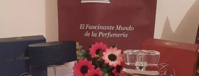 La imagen 3 de la Empresa PERFUMERÍA PARFUMS D' PARFUMS SHAMPOOS en Providencia RM