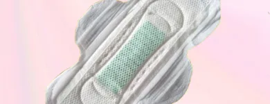La imagen 1 de la Empresa ROSELEE SANITARY NAPKIN MANUFACTURING COMPAN Maquinarias en Santiago RM