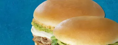 La imagen 6 de la Empresa SANZEBA SANDWICHES EN GENERAL en San Pedro de la Paz BI