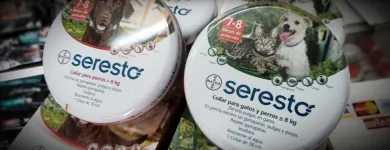 La imagen 12 de la Empresa SUPER PET Tienda de suministros para mascotas en Antofagasta AN