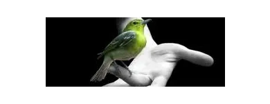 La imagen 4 de la Empresa SWEET HOME PROPIEDADES Venta de Propiedades en Santiago RM