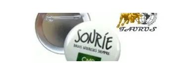 La imagen 5 de la Empresa TAURUS COMERCIAL Viseras en Santiago RM