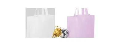 La imagen 8 de la Empresa TAURUS COMERCIAL Viseras en Santiago RM