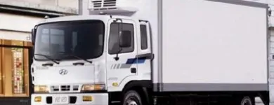 La imagen 1 de la Empresa TRANSPORTES ECAR Mudanzas en Santiago RM