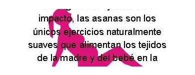 La imagen 1 de la Empresa YOGA MAELI Yoga Purna en Santiago RM