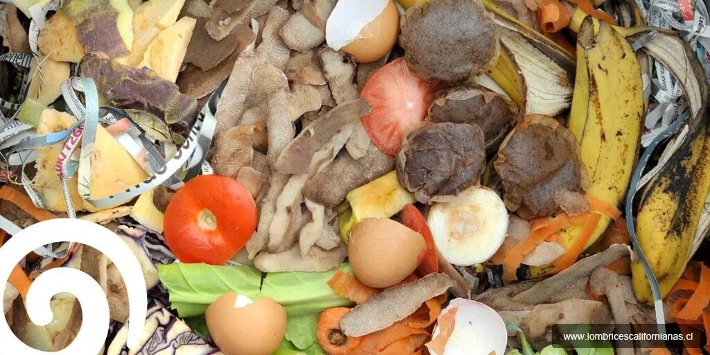 La imagen 1 de la Empresa LOMBRICES CALIFORNIANAS CHILE