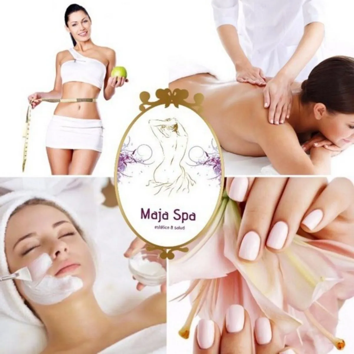 La imagen 4 de la Empresa MAJA SPA