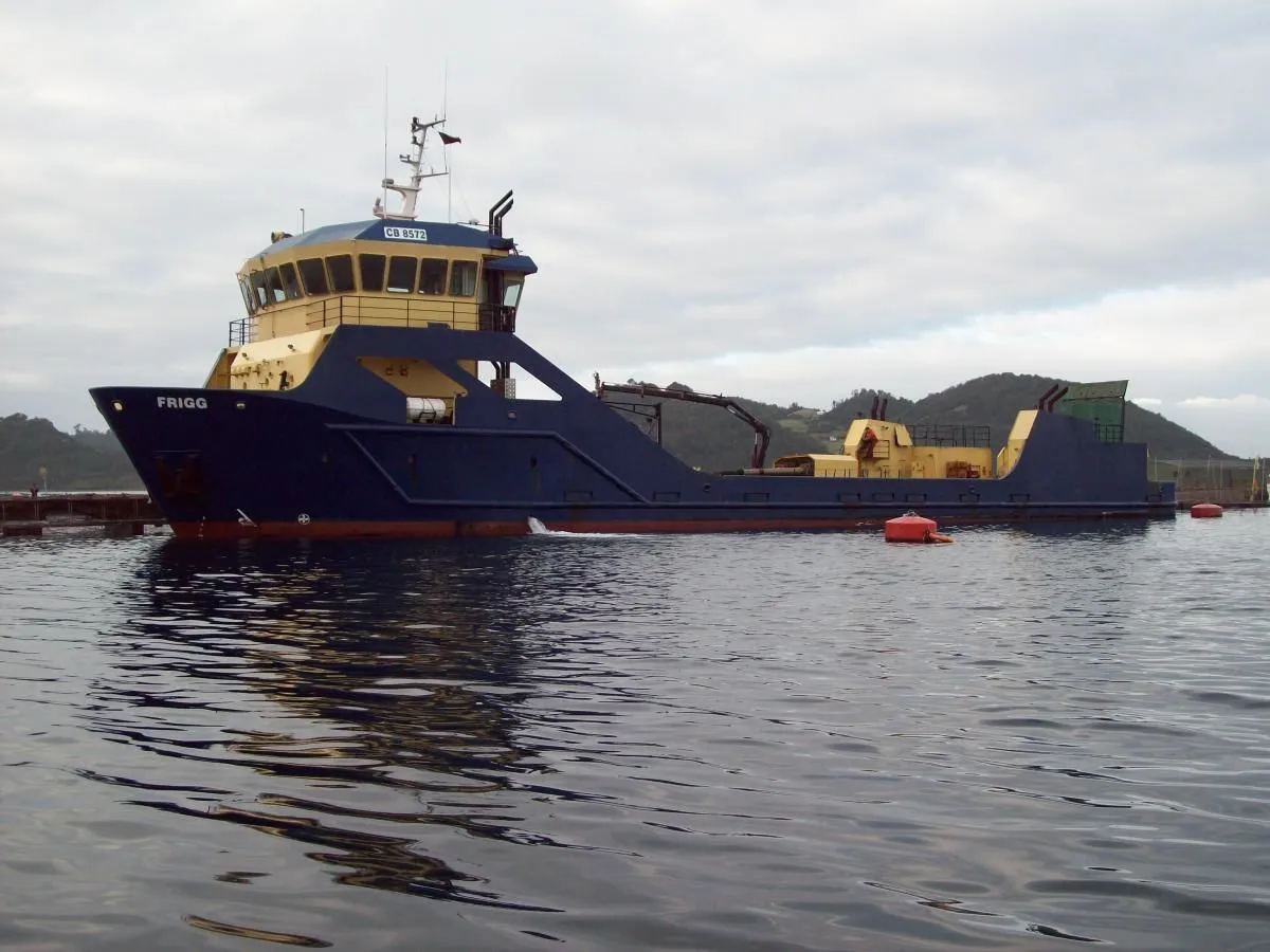 La imagen 1 de la Empresa DETROIT S.A.