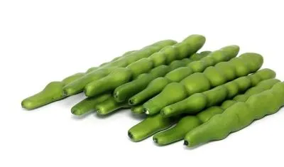 La imagen 10 de la Empresa ESTUDIO FOTOGRAFICO FGR