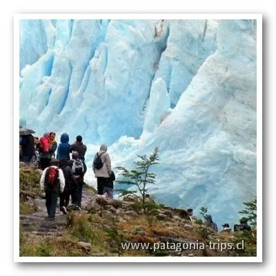 La imagen 6 de la Empresa PATAGONIA TRIPS