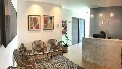 La imagen 3 de la Empresa SILK SPA.